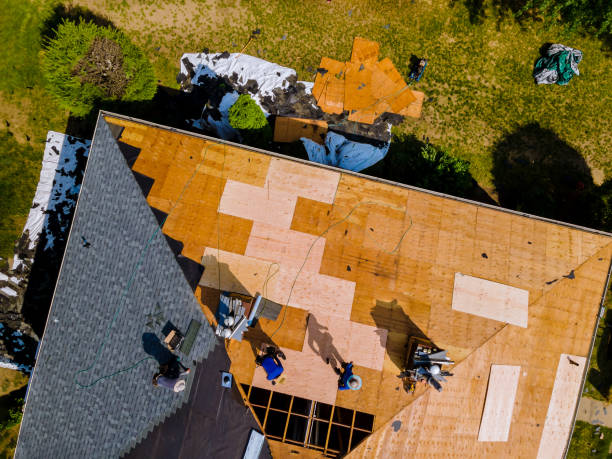 Best Roof Restoration Services  in Belmont Estates, VA