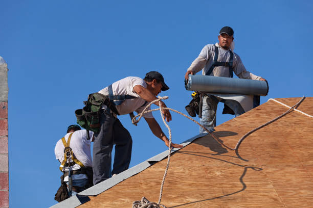 Best Roof Gutter Cleaning  in Belmont Estates, VA